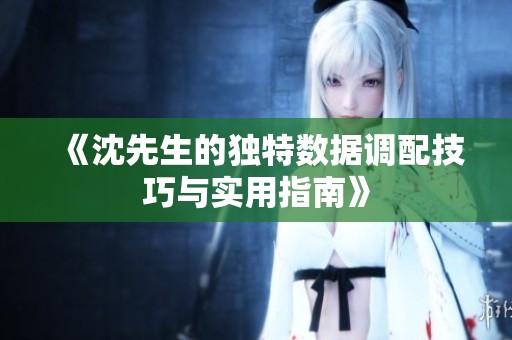 《沈先生的獨特數(shù)據(jù)調(diào)配技巧與實用指南》