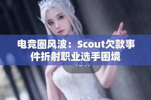 電競?cè)︼L(fēng)波：Scout欠款事件折射職業(yè)選手困境