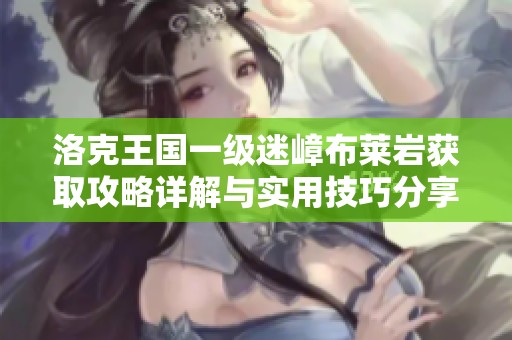 洛克王國一級迷嶂布萊巖獲取攻略詳解與實用技巧分享