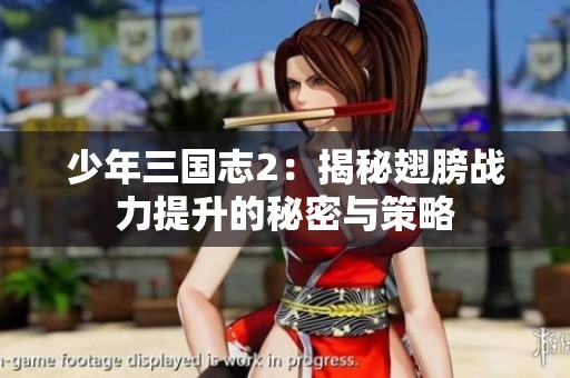 少年三國志2：揭秘翅膀戰(zhàn)力提升的秘密與策略