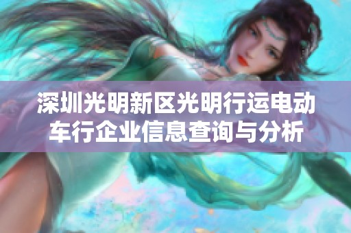 深圳光明新區(qū)光明行運電動車行企業(yè)信息查詢與分析