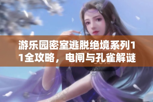 游樂園密室逃脫絕境系列11全攻略，電閘與孔雀解謎技巧詳解