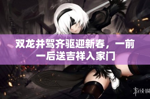 雙龍并駕齊驅(qū)迎新春，一前一后送吉祥入家門
