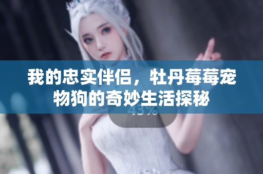 我的忠實(shí)伴侶，牡丹莓莓寵物狗的奇妙生活探秘