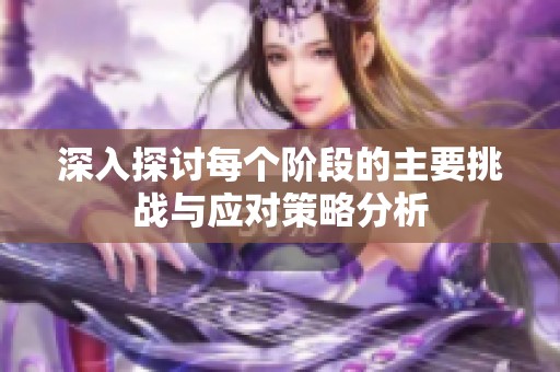 深入探討每個(gè)階段的主要挑戰(zhàn)與應(yīng)對(duì)策略分析