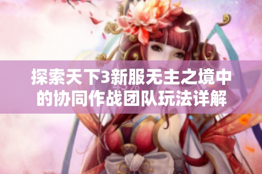 探索天下3新服無主之境中的協(xié)同作戰(zhàn)團隊玩法詳解
